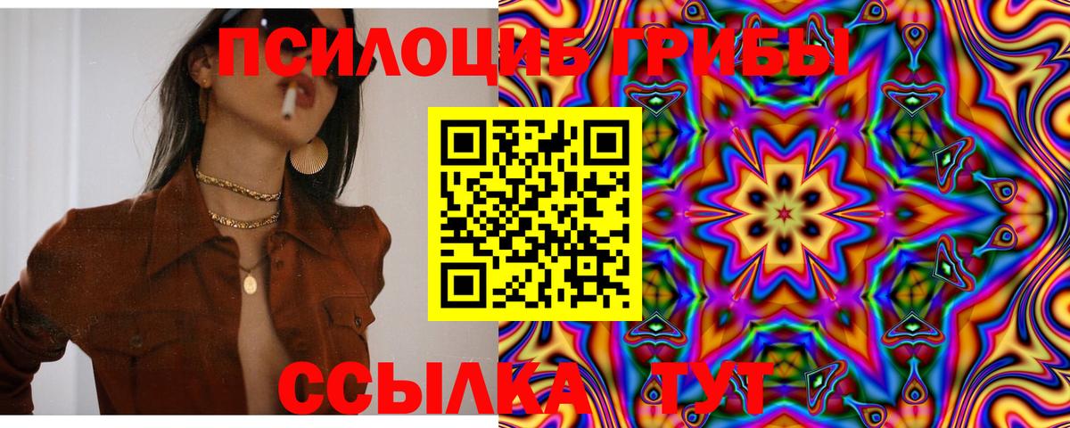 Галлюциногенные грибы Psilocybe Верхний Уфалей
